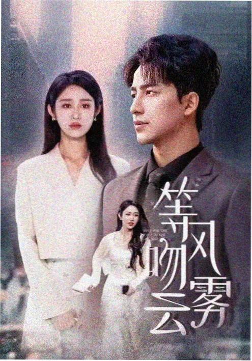 韩剧免费在线观看 汉江以北 海报